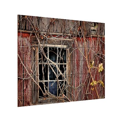 Trademark Fine Art Lois Bryan 'Old Barn Window' Wood Slat Art