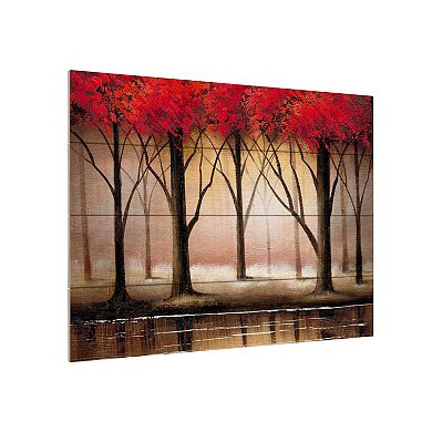 Trademark Fine Art Rio 'Serenade in Red' Wood Slat Art