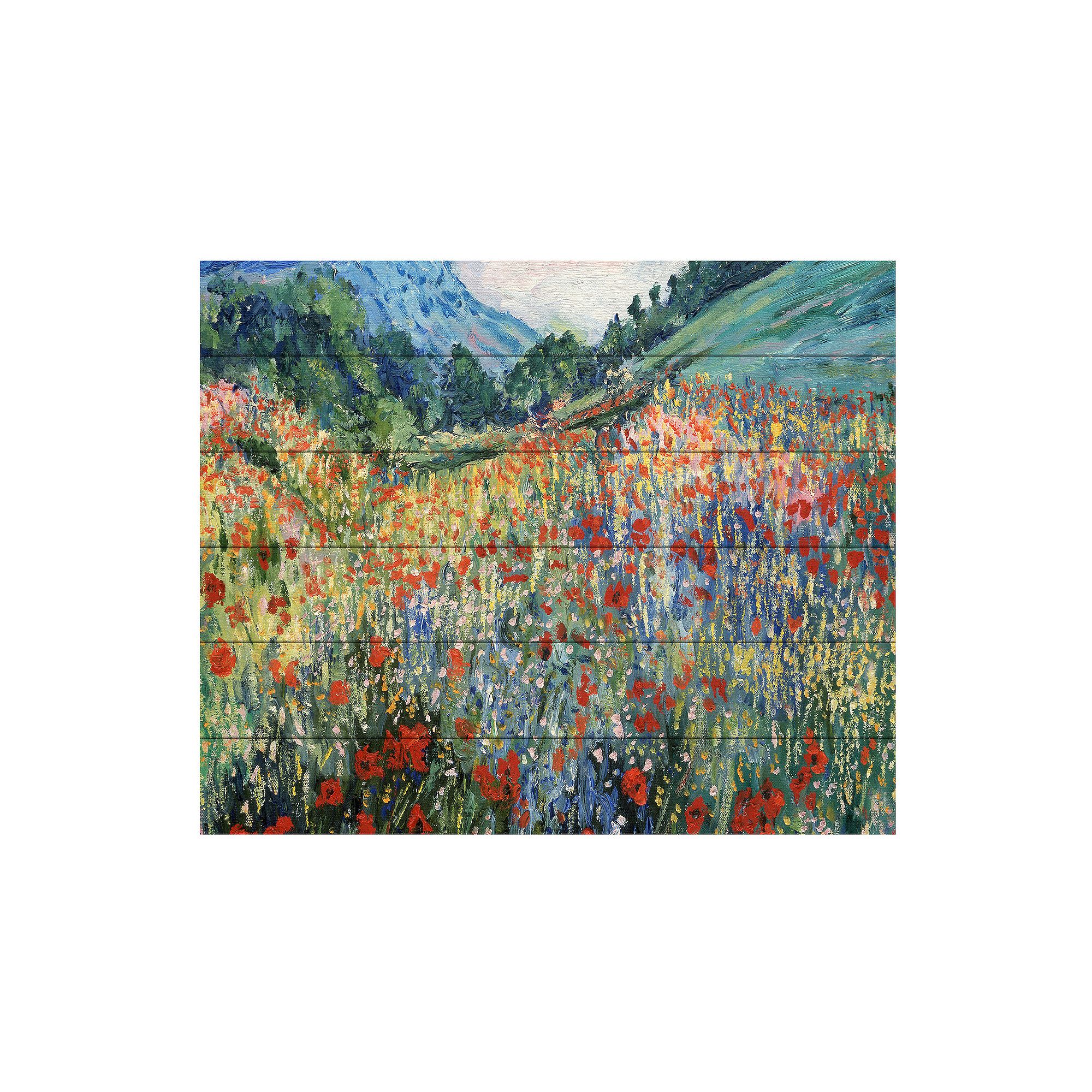 Trademark Fine Art Rio Field of Wild Flowers Wood Slat Art, Multi