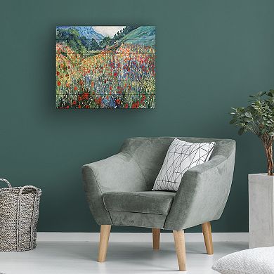 Trademark Fine Art Rio 'Field of Wild Flowers' Wood Slat Art