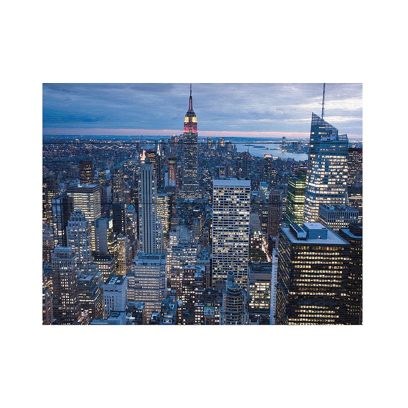 Trademark Fine Art Yakov Agani New York City, NY Wood Slat Art, Multi, 22