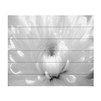 Trademark Fine Art PIPA Fine Art 'Infrared Flower 2' Wood Slat Art