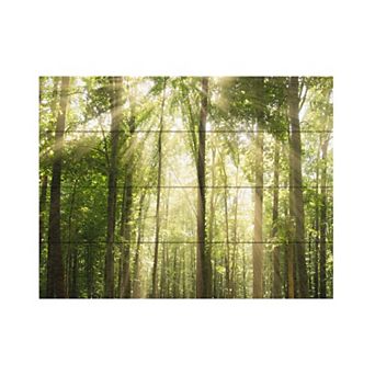 Trademark Fine Art PIPA Fine Art 'Sunrays Through Treetops' Wood Slat Art