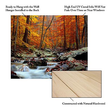 Trademark Fine Art CATeyes 'Ultimate Truth' Wood Slat Art