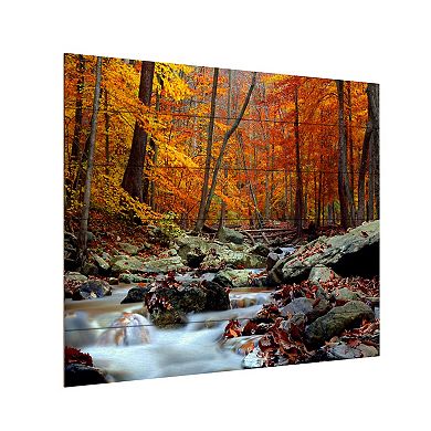 Trademark Fine Art CATeyes 'Ultimate Truth' Wood Slat Art
