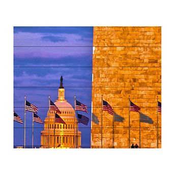 Trademark Fine Art CATeyes 'America' Wood Slat Art