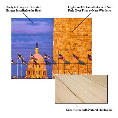 Trademark Fine Art CATeyes 'America' Wood Slat Art