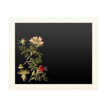Trademark Fine Art Vision Studio 'Midnight Botanical I' Chalkboard