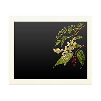 Trademark Fine Art Vision Studio 'Midnight Botanical Ii' Chalkboard