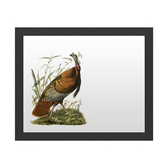 Trademark Fine Art 'Audubon Wild Turkey' Dry Erase Board