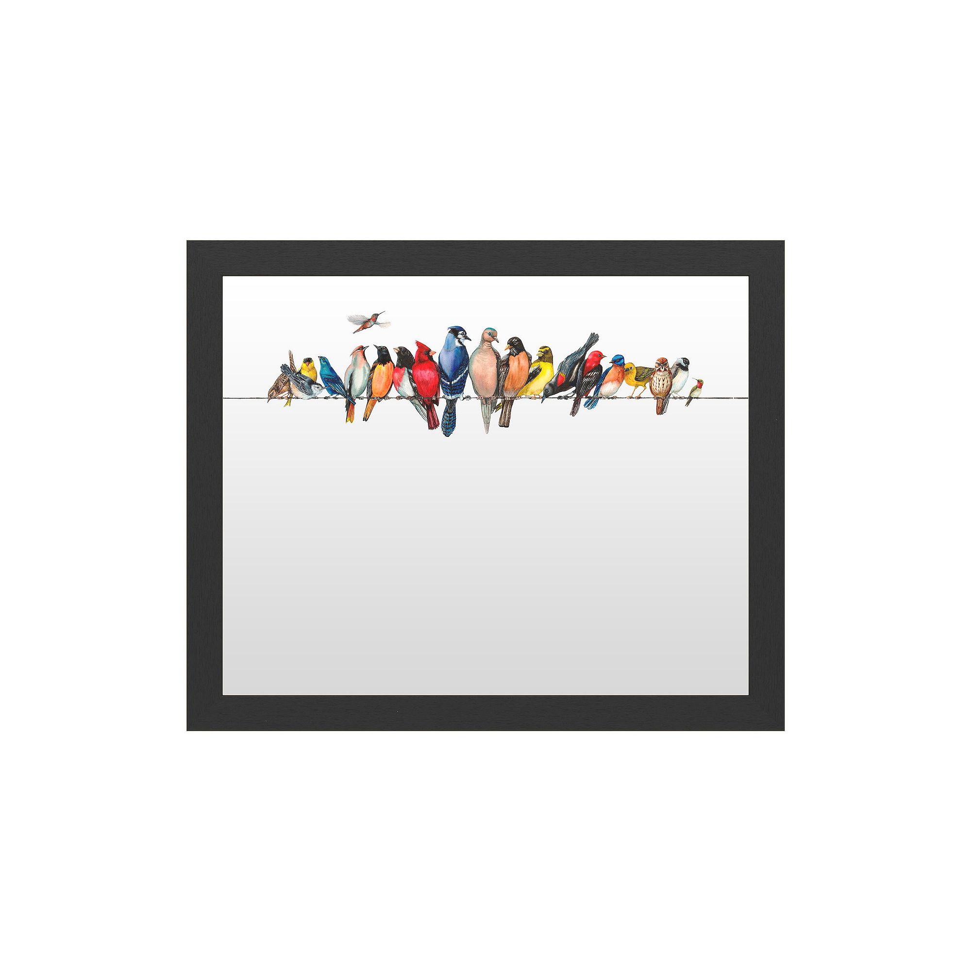 Trademark Fine Art Large Bird Menagerie Ii Dry Erase Board, Multi