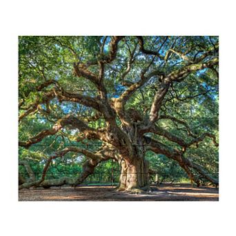 Trademark Fine Art Angel Oak Charleston Wood Slat Wall Art