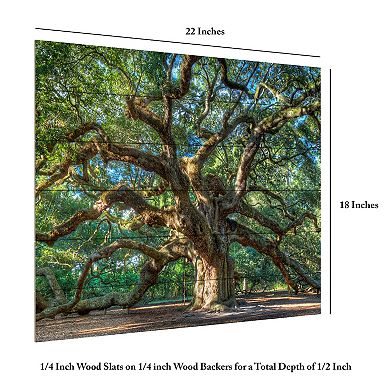 Trademark Fine Art Angel Oak Charleston Wood Slat Wall Art