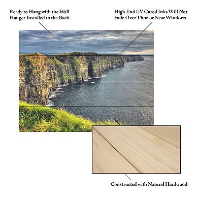 Trademark Fine Art Cliffs of Moher Ireland Wood Slat Wall Art