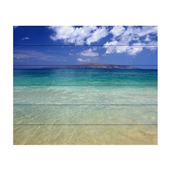 Trademark Fine Art Hawaii Blue Beach Wood Slat Wall Art