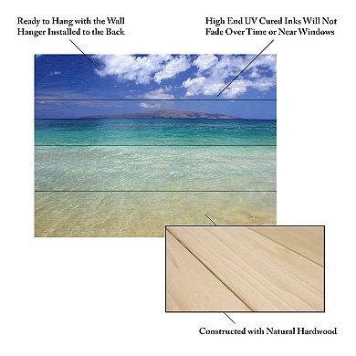 Trademark Fine Art Hawaii Blue Beach Wood Slat Wall Art