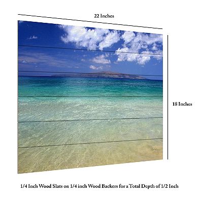 Trademark Fine Art Hawaii Blue Beach Wood Slat Wall Art