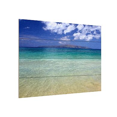 Trademark Fine Art Hawaii Blue Beach Wood Slat Wall Art