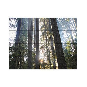 Trademark Fine Art Sunrays Wood Slat Wall Art