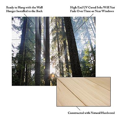 Trademark Fine Art Sunrays Wood Slat Wall Art