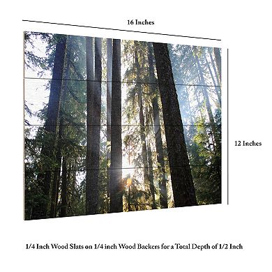 Trademark Fine Art Sunrays Wood Slat Wall Art