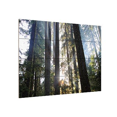 Trademark Fine Art Sunrays Wood Slat Wall Art