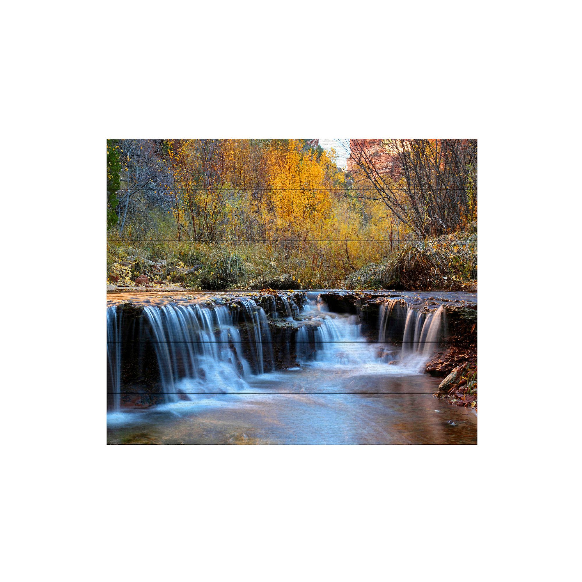 Trademark Fine Art Zion Autumn Wood Slat Wall Art, Multi