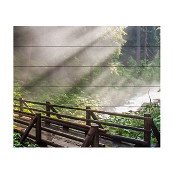 Trademark Fine Art Forest Sunlight Wood Slat Wall Art