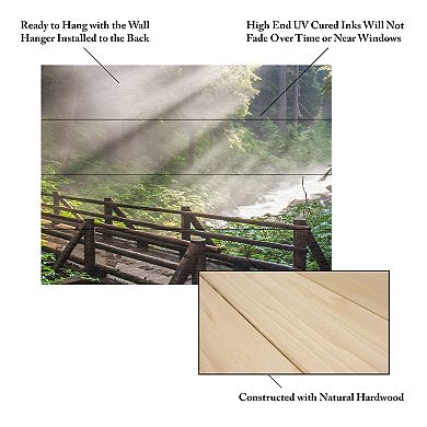 Trademark Fine Art Forest Sunlight Wood Slat Wall Art