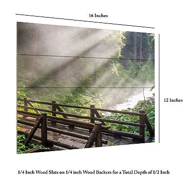 Trademark Fine Art Forest Sunlight Wood Slat Wall Art