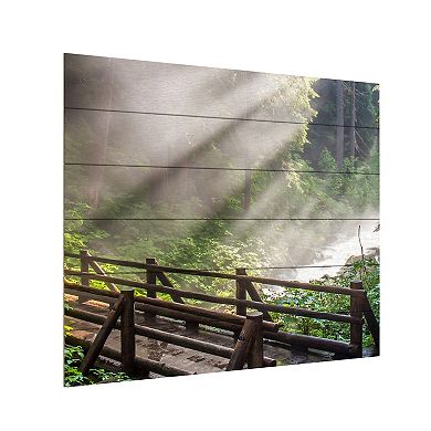 Trademark Fine Art Forest Sunlight Wood Slat Wall Art