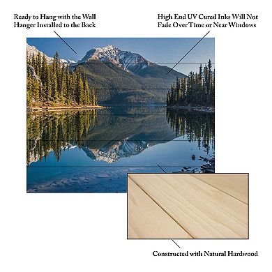 Trademark Fine Art Jasper Morning Wood Slat Wall Art