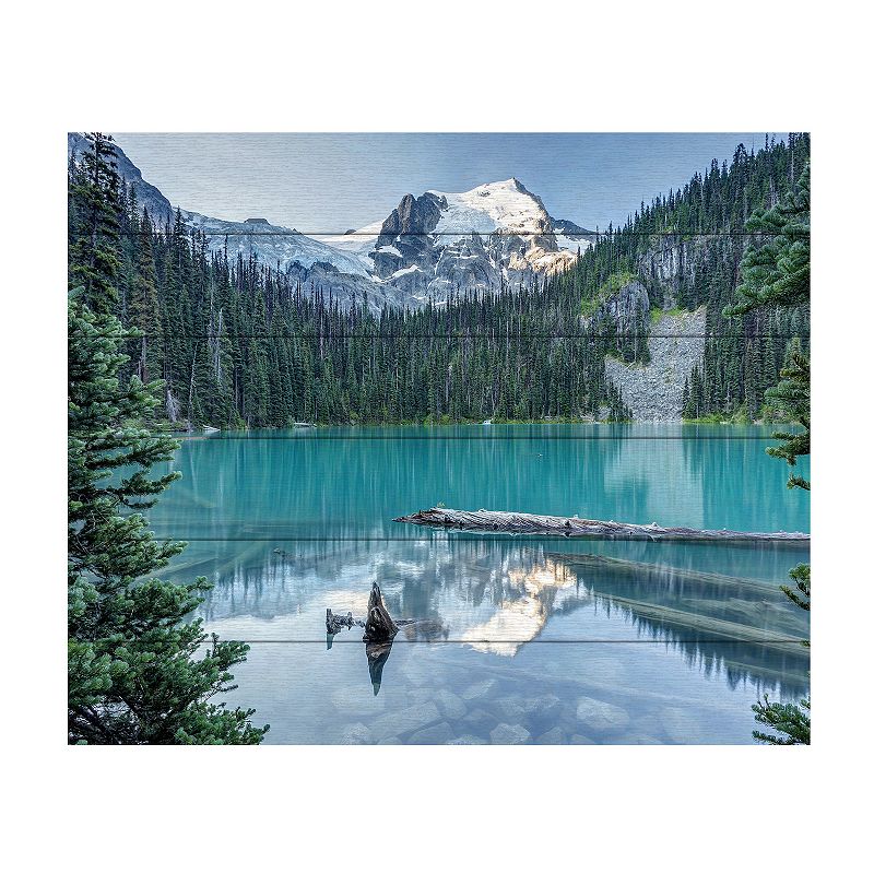 Trademark Fine Art Natural Beautiful British Columbia Wood Slat Wall Art, 