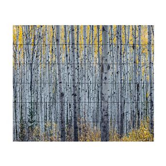 Trademark Fine Art Forest of Aspen Trees Wood Slat Wall Art