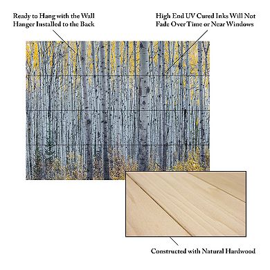Trademark Fine Art Forest of Aspen Trees Wood Slat Wall Art