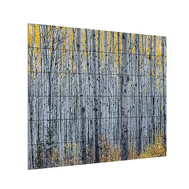 Trademark Fine Art Forest of Aspen Trees Wood Slat Wall Art