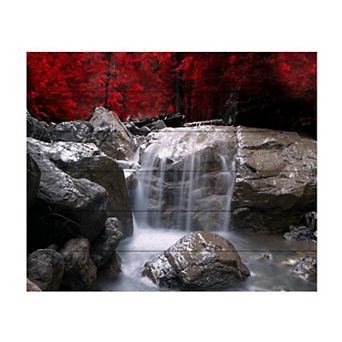 Trademark Fine Art Red Vison Wood Slat Wall Art