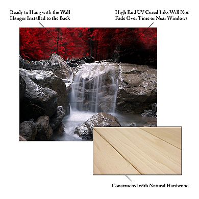 Trademark Fine Art Red Vison Wood Slat Wall Art
