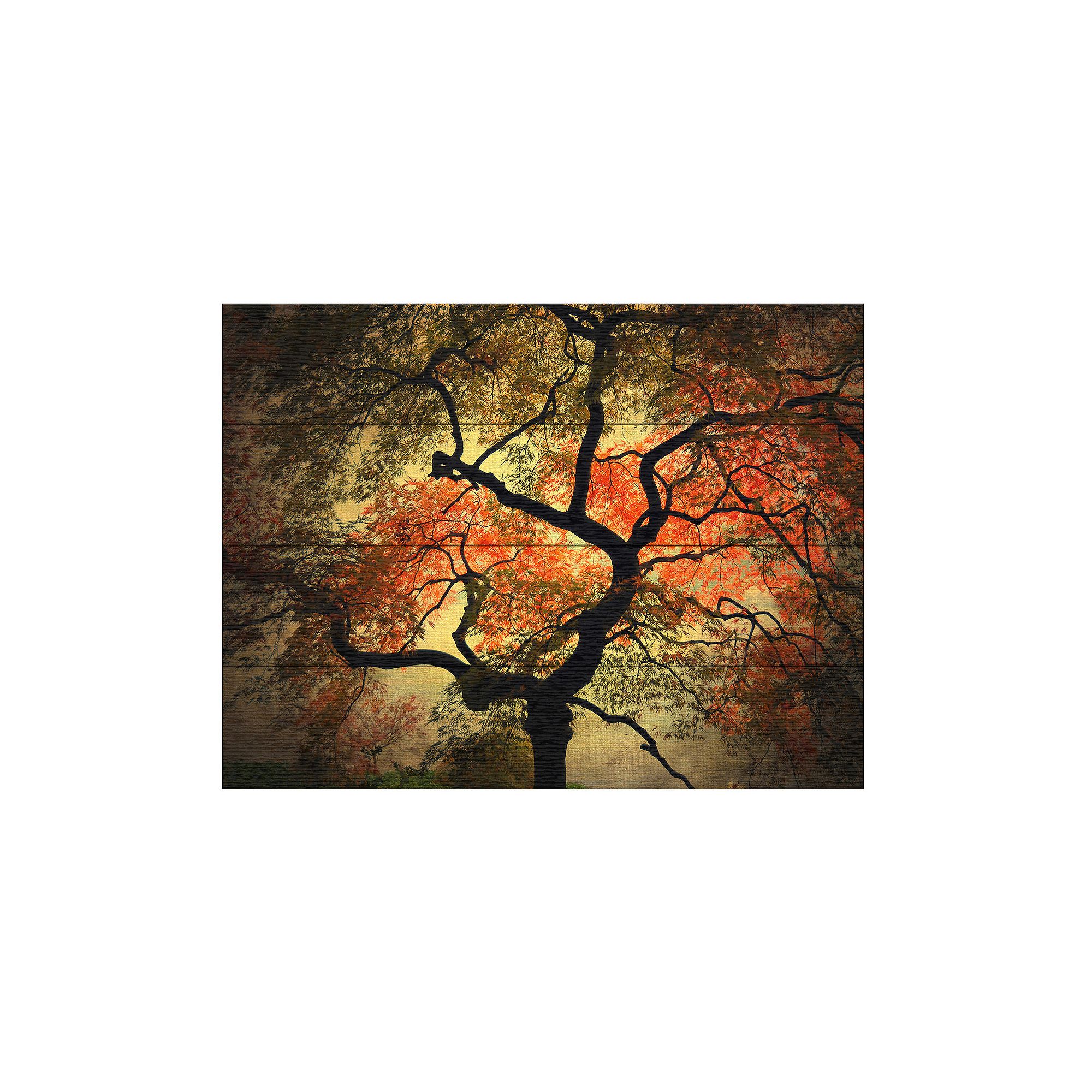 Trademark Fine Art Red For Love Wood Slat Wall Art, Multi