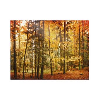 Trademark Fine Art Brilliant Fall Color Wood Slat Wall Art