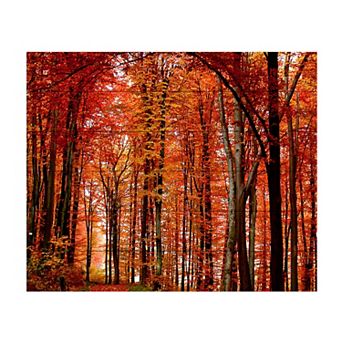 Trademark Fine Art The Red Way Wood Slat Wall Art