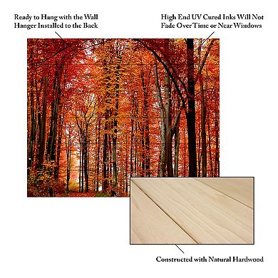 Trademark Fine Art The Red Way Wood Slat Wall Art