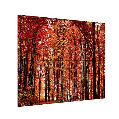 Trademark Fine Art The Red Way Wood Slat Wall Art