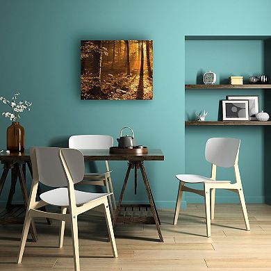 Trademark Fine Art Morning Light Wood Slat Wall Art