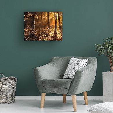 Trademark Fine Art Morning Light Wood Slat Wall Art