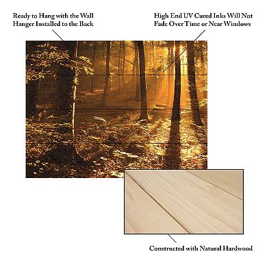 Trademark Fine Art Morning Light Wood Slat Wall Art