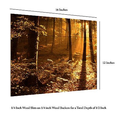 Trademark Fine Art Morning Light Wood Slat Wall Art