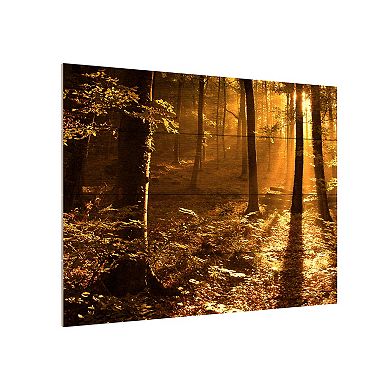 Trademark Fine Art Morning Light Wood Slat Wall Art