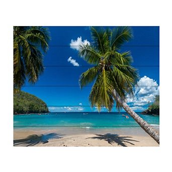 Trademark Fine Art Martinique Wood Slat Wall Art