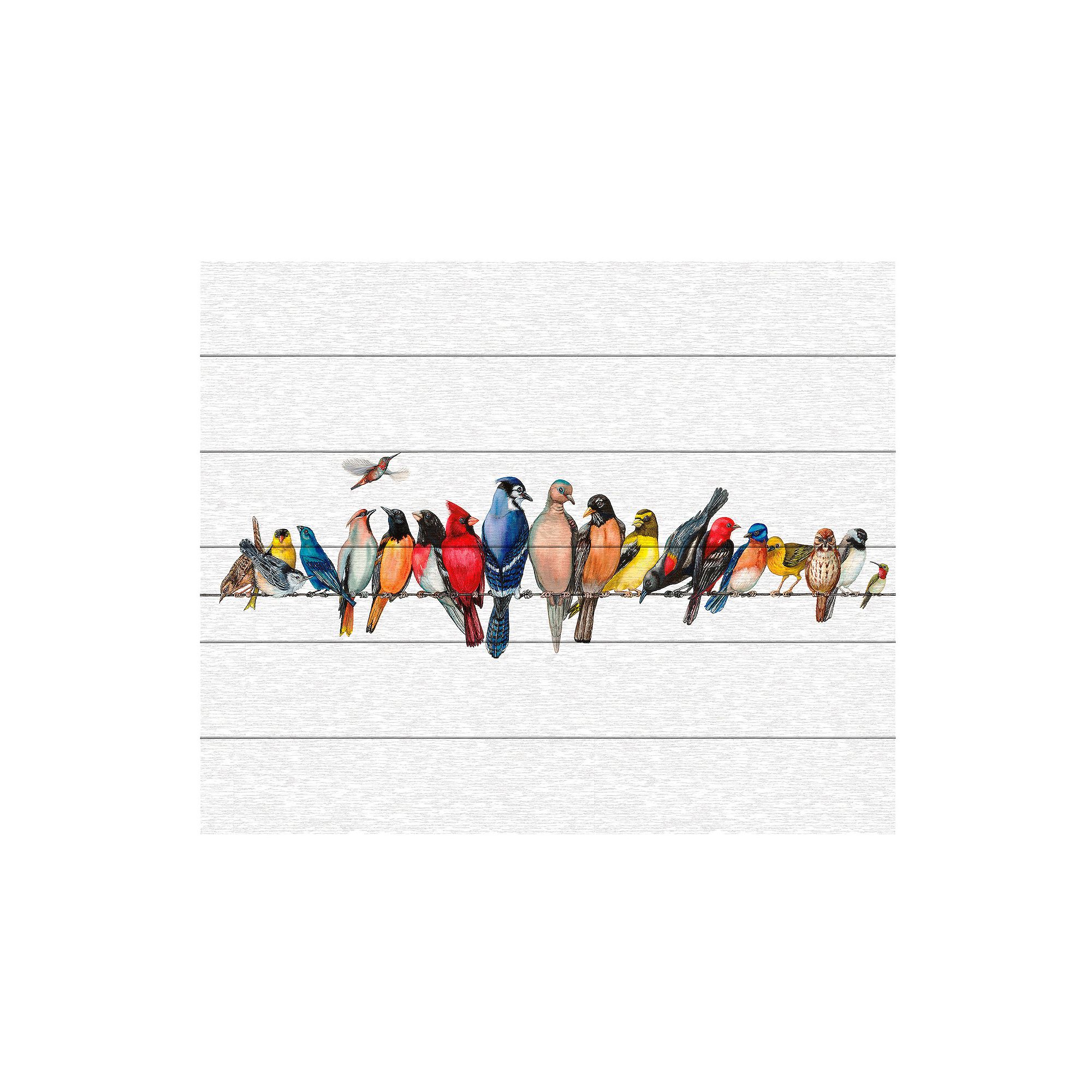 Trademark Fine Art Large Bird Menagerie Ii Wood Slat Wall Art, Multi